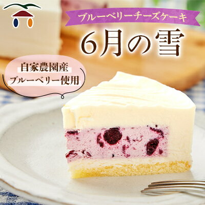 【ふるさと納税】ブルーベリーチーズケーキ　6月の雪【配送不可地域：離島】【1082307】