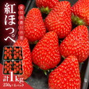 【ふるさと納税】紅ほっぺ【250g×4パック】【配送不可地域：離島・北海道・沖縄県】【1464897】