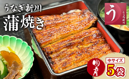 うなぎ 蒲焼き 国産 中サイズ 5袋入り 鰻 うなぎ