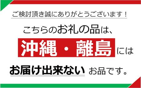 【ふるなび限定】【定期便6回】栃木県矢板市産 樹上完熟100％りんごジュース 720ml×6本入  | 林檎 リンゴ 果汁100% 産地直送 (毎月お届け） FN-Limited-PR