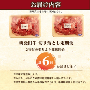 【6回定期便 】 牛肉 切り落とし 新発田牛 計6kg 切り落とし enomoto030