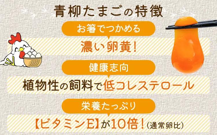 卵  青柳たまご 20個  卵 