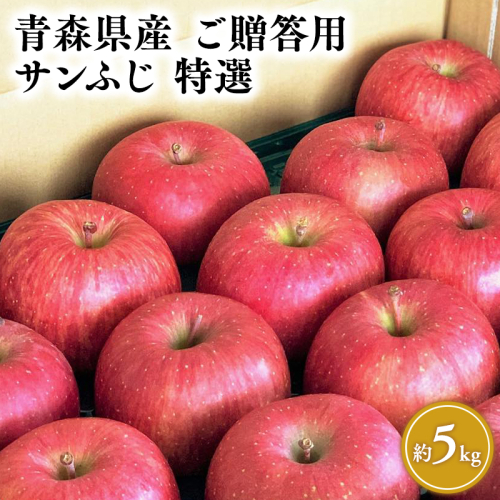 1月発送 【特選】サンふじ5kg【りんご・青森・平川・特選・宮川商店・11月・12月・1月・2月・3月・4月】