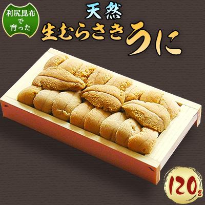 ふるさと納税 稚内市 【令和8年発送 先行予約】利尻昆布を食べておいしく育った「生むらさきうに」120g ウニ 海鮮
