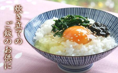 島乃香 1食のり(6g)100食 ×3袋