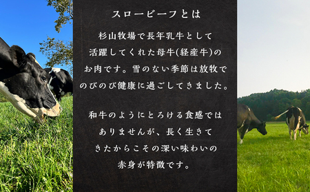 AZ022 放牧牛 スロービーフ トライプジャーキー(犬用) 60g(30g×2) 杉山牧場 北海道 浜頓別 肉 牛 牛肉 ウエットエイジング
