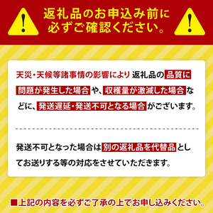 【2026年2月より順次発送】【3ヶ月定期便】★フルーツトマト★KISSトマト 2箱｜トマト とまと フルーツ フルーツトマト KISSトマト 先行予約 定期便 茨城県 行方市(AC-6)