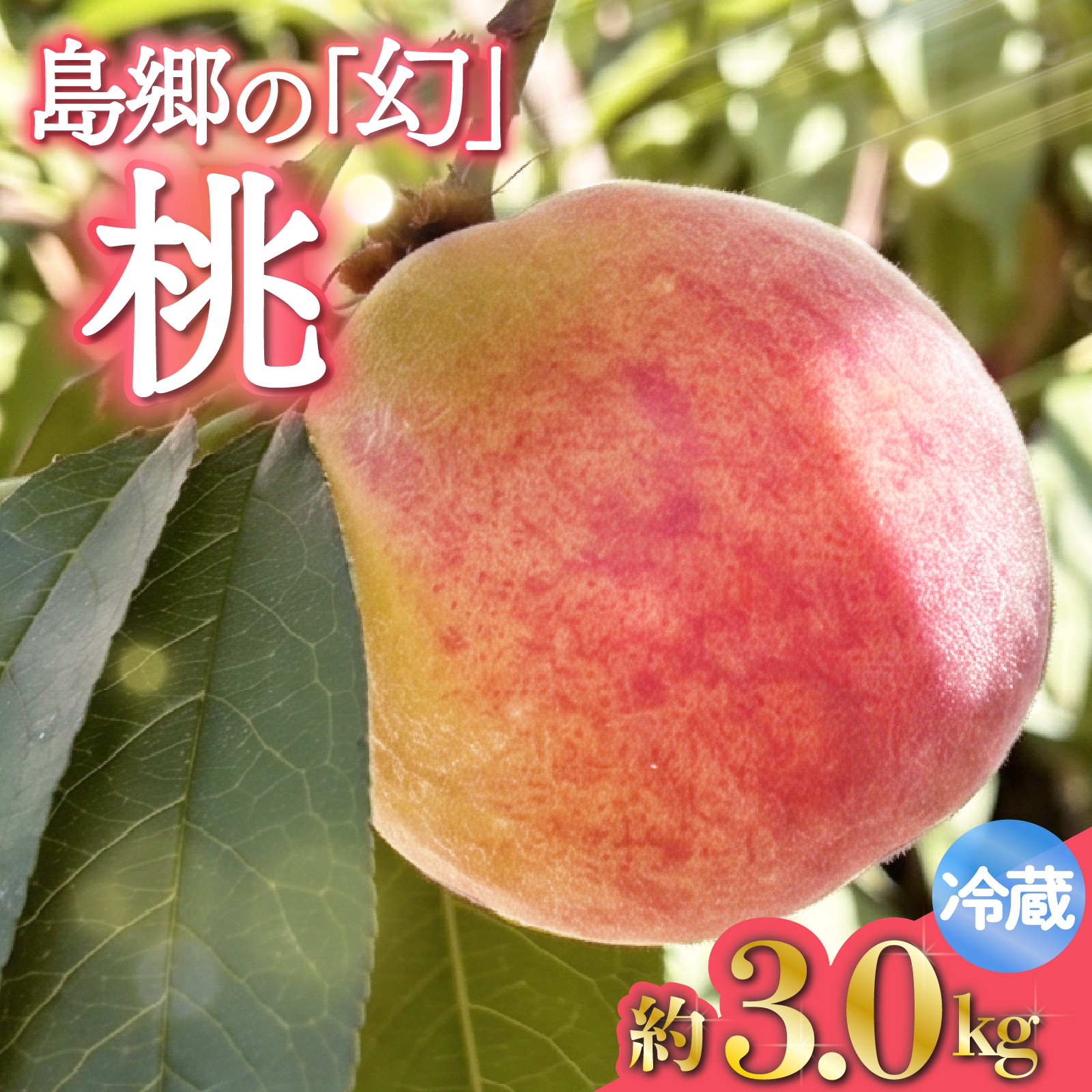 
                   桃 もも 約 2.5 ～ 3 kg 【2026年先行予約】 6 ~ 7月発送 静岡県産 先行予約 季節限定 島郷の桃 幻の桃 フルーツ 新鮮 果物 旬 旬の果物 グルメ モモ 冷蔵 産地直送 静岡県 沼津市
                
