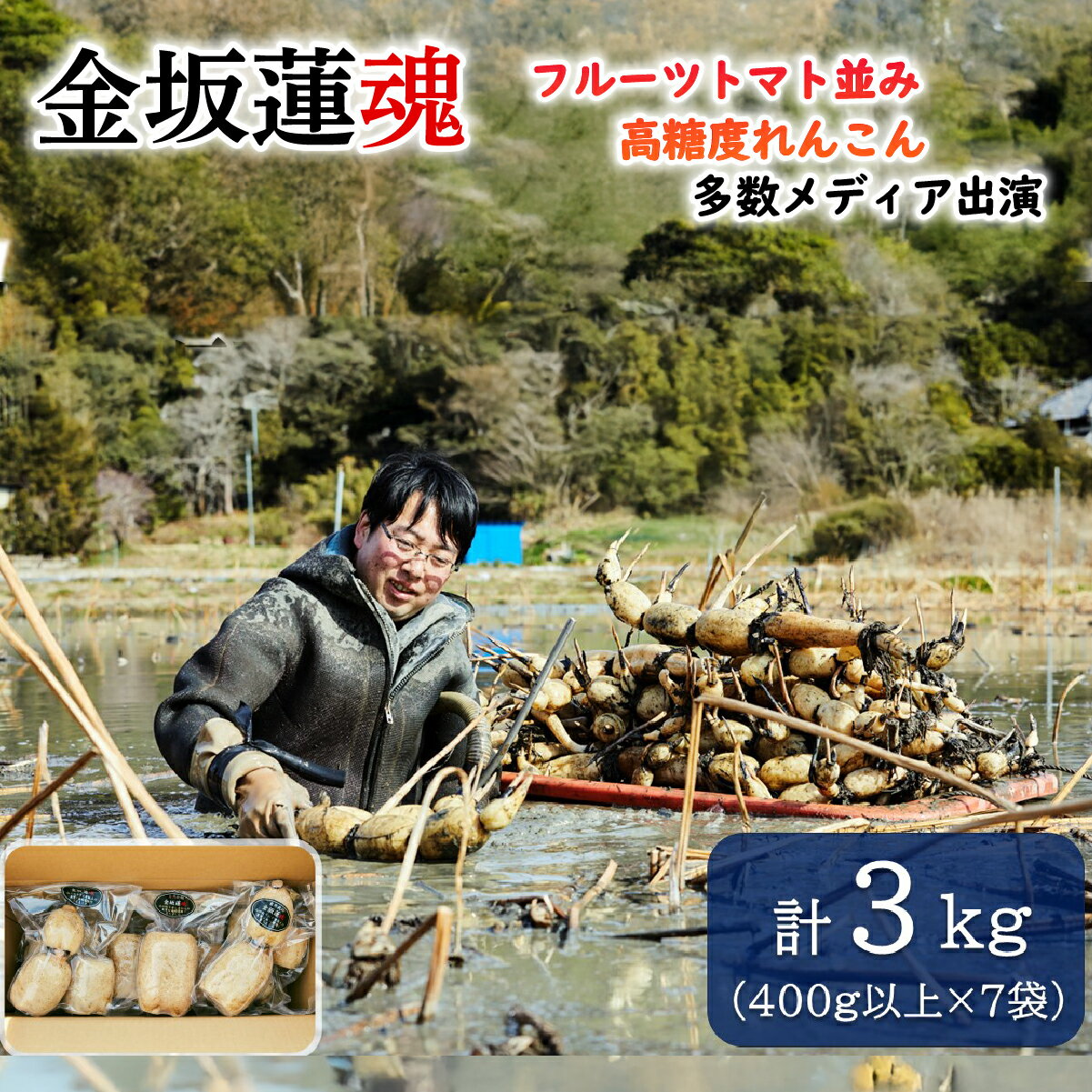 【ふるさと納税】【10月上旬～順次発送】千葉県産 れんこん真空パック×7袋(計3kg)自然栽培【金坂蓮魂】ふるさと納税 やさい 野菜 根菜 れんこん レンコン 蓮根 季節 旬 シャキシャキ 金坂蓮魂 かねさかれんこん カネサカレンコン 長南町 千葉県 CNX004