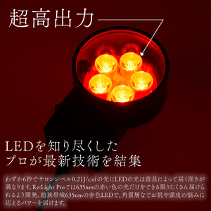Re:Light Pro 美顔器 頭皮ケア 美顔器