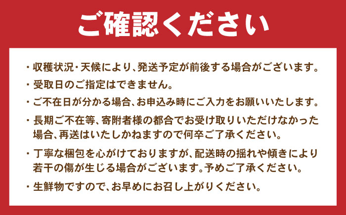 月2回お届け 【24回定期便】諫早産 野菜の詰め合わせ 8～9品目程度 / 季節 旬 野菜 やさい 春野菜 夏野菜 秋野菜 野菜セット 詰め合わせ 野菜定期 野菜定期便 定期便 / 諫早市 / 肥前グローカル株式会社 [AHDI015]