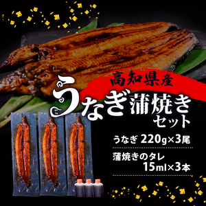 うなぎ 国産 高知県産 鰻 蒲焼き 220g×3尾 セット 蒲焼きのタレ 付き 冷凍 高知県 須崎市 ( うなぎ 蒲焼き うなぎ 冷凍 うなぎ スタミナ うなぎ 土用の丑の日 うなぎ タレ うなぎ 小