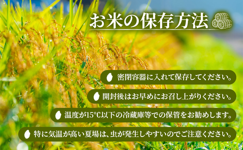 ライスボール おにぎり大作戦 はれわたり2kg お米 米 精米  青森県 西目屋村