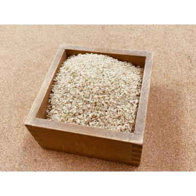 ふるさと納税 五條市 生命の農法(栽培期間中化学農薬・化学肥料不使用栽培)お米(5kg)玄米