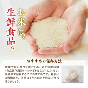 人気沸騰の米 令和7年産 岩手県奥州市産ひとめぼれ 白米 6kg [AC014]