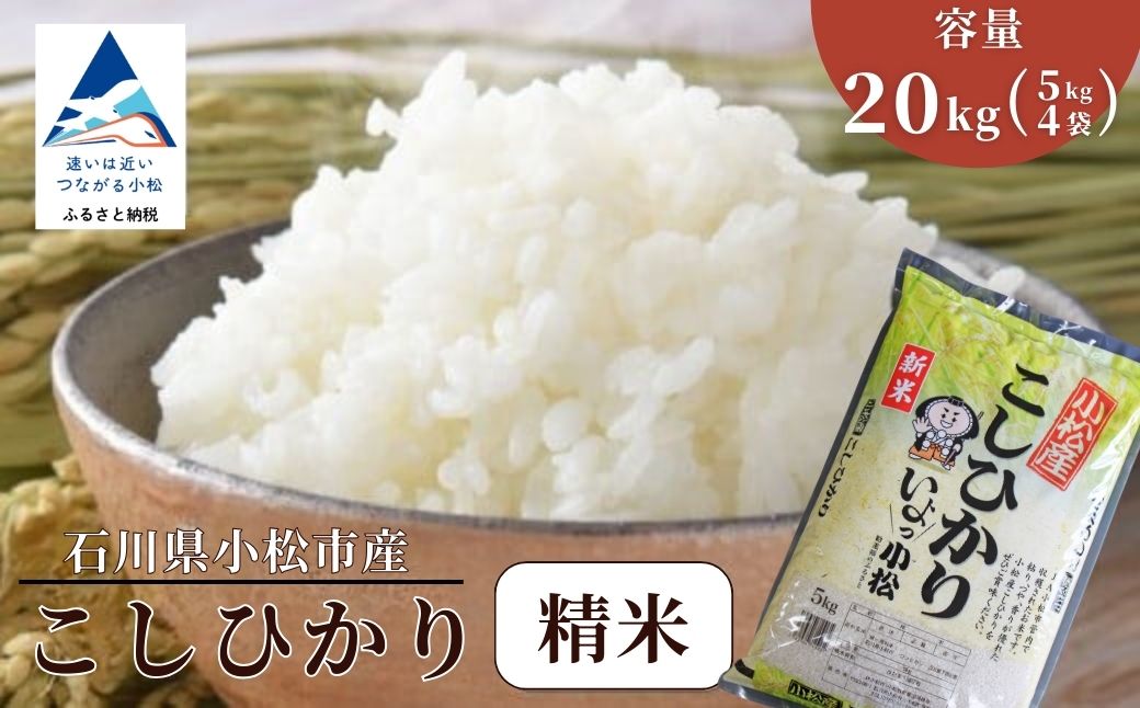 【先行予約】令和8年産 小松産こしひかり 精米 20kg（5kg×4袋） 米 お米｜石川県 小松市 ＪＡ小松市