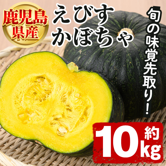 鹿児島県産 えびすかぼちゃ(約10kg) 国産 野菜 かぼちゃ カボチャ 南瓜 煮物 天ぷら バーベキュー BBQ スイーツ お菓子【松永青果】akn053-27