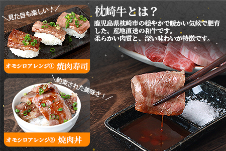 鹿児島 枕崎牛 【カルビ 1kg】 焼肉 国産和牛 小分け 10P　C0-63_肉 焼肉 牛肉 やきにく ヤキニク バーベキュー_【配送不可地域：離島】【1562437】