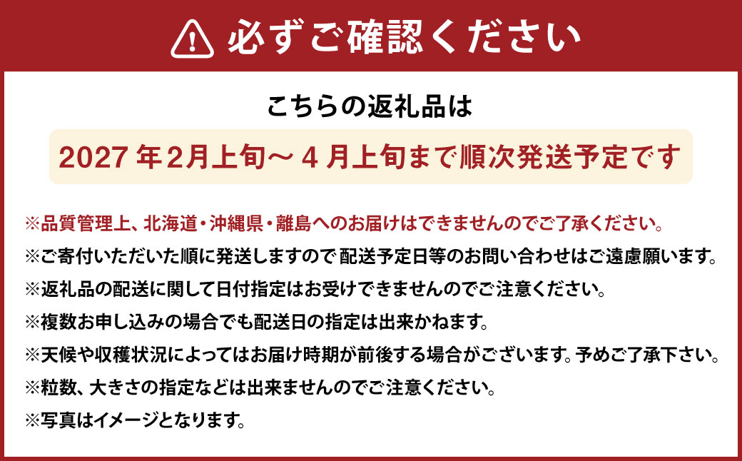 化粧箱入りプレミアムあまおう 約400g×1パック【ギフト・お祝い・贈答用】 あまおう いちご イチゴ 苺 果物 くだもの フルーツ【2027年2月上旬～2027年4月上旬発送予定】