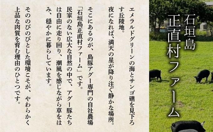 満天アグーと石垣牛のハンバーグ 150g×4 | ふるさと納税 沖縄県 石垣市 石垣 沖縄 石垣島 ふるさと 人気 送料無料 アグー 豚 豚肉 ポーク ハンバーグ 150g×4