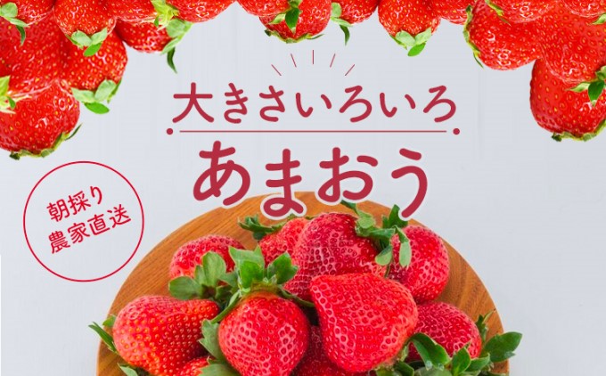 訳あり いちご 2027年2月下旬より発送 あまおう サイズ色々 8