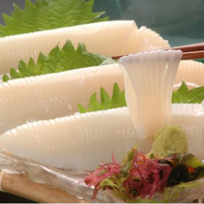 ふるさと納税 網走市 美味しいイカ刺身8柵セット