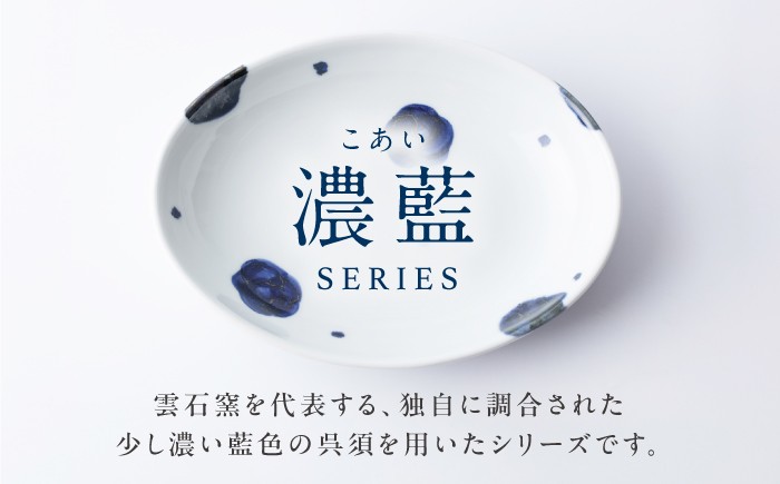 砥部焼 食器 和食器 器 皿 お皿 オーバル 楕円皿 おしゃれ 北欧 モダン