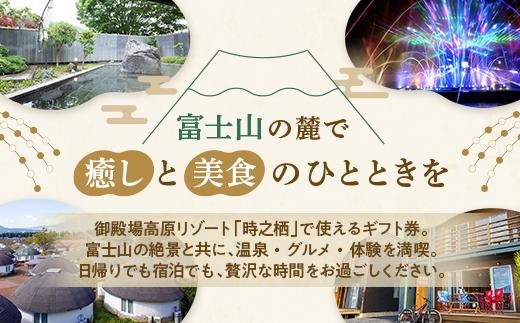 時之栖グループギフト券（15,000円分）【チケット　宿泊　食事　体験　トラベル　利用券】
