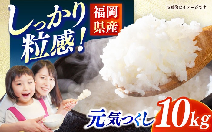 【令和7年産】果物屋さんが選んだ米 元気つくし 10kg 《築上町》【南国フルーツ株式会社】米 白米 お米 ブランド米[ABET011]