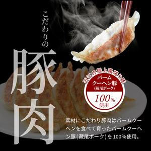 堀久餃子本舗冷凍生餃子10箱パック  幻の餃子 ぎょうざ ギョウザ 冷凍 生餃子 生ギョウザ バームクーヘン豚 藏尾ポーク BH-0006