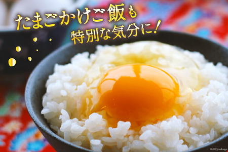 米 令和7年産 だて正夢 5kg  だて正夢