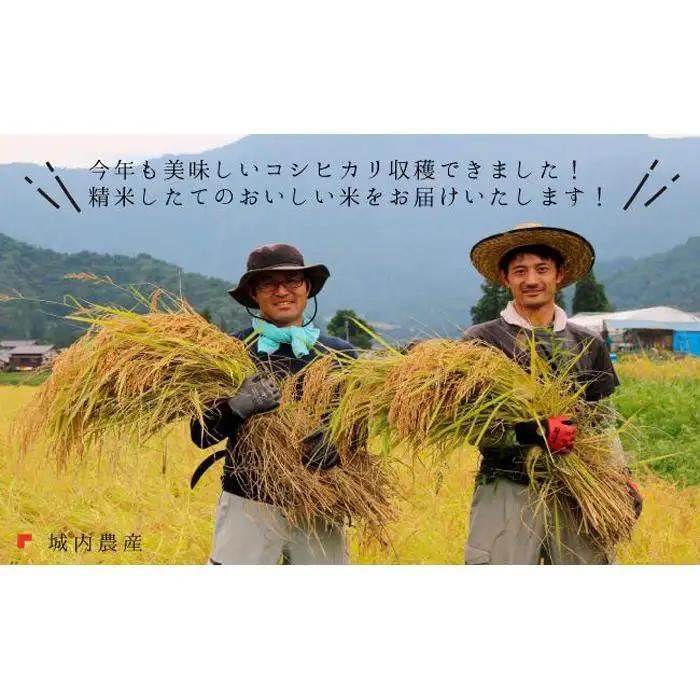 【令和８年新米予約】 南魚沼産コシヒカリ　白米５ｋｇ【５割減農薬栽培米】 城内農産 | 米 【2026年9月下旬から1ヶ月以内に順次発送予定】