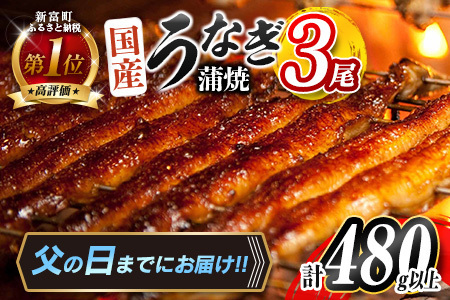 ＜父の日＞国産うなぎ蒲焼 3尾 計480g以上【C444-FD】