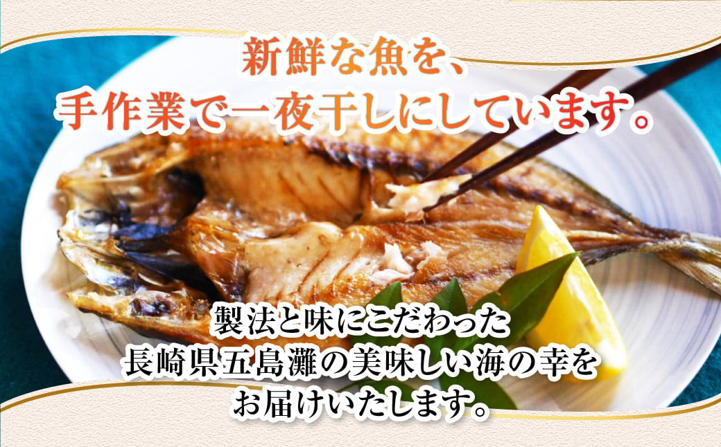 長崎五島灘一汐干し 合計12枚 干物 ひもの 魚介 海鮮 魚 おつまみ おかず 肴