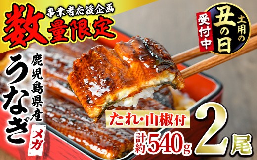 
                  ＜丑の日発送も選べる！＞＜数量限定＞＜メガサイズ＞「養鰻業者応援」うなぎ蒲焼き(無頭)(2尾・計約540g・タレ、山椒付) うなぎ 高級 ウナギ 鰻 国産 蒲焼 蒲焼き たれ 鹿児島 ふるさと 人気【アクアおおすみ】
                