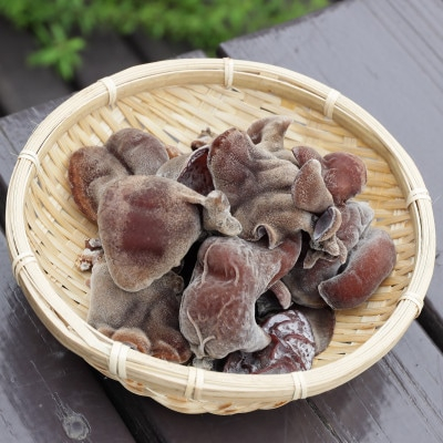 
佐倉きのこ園のプリプリ生きくらげ500g【1416504】
