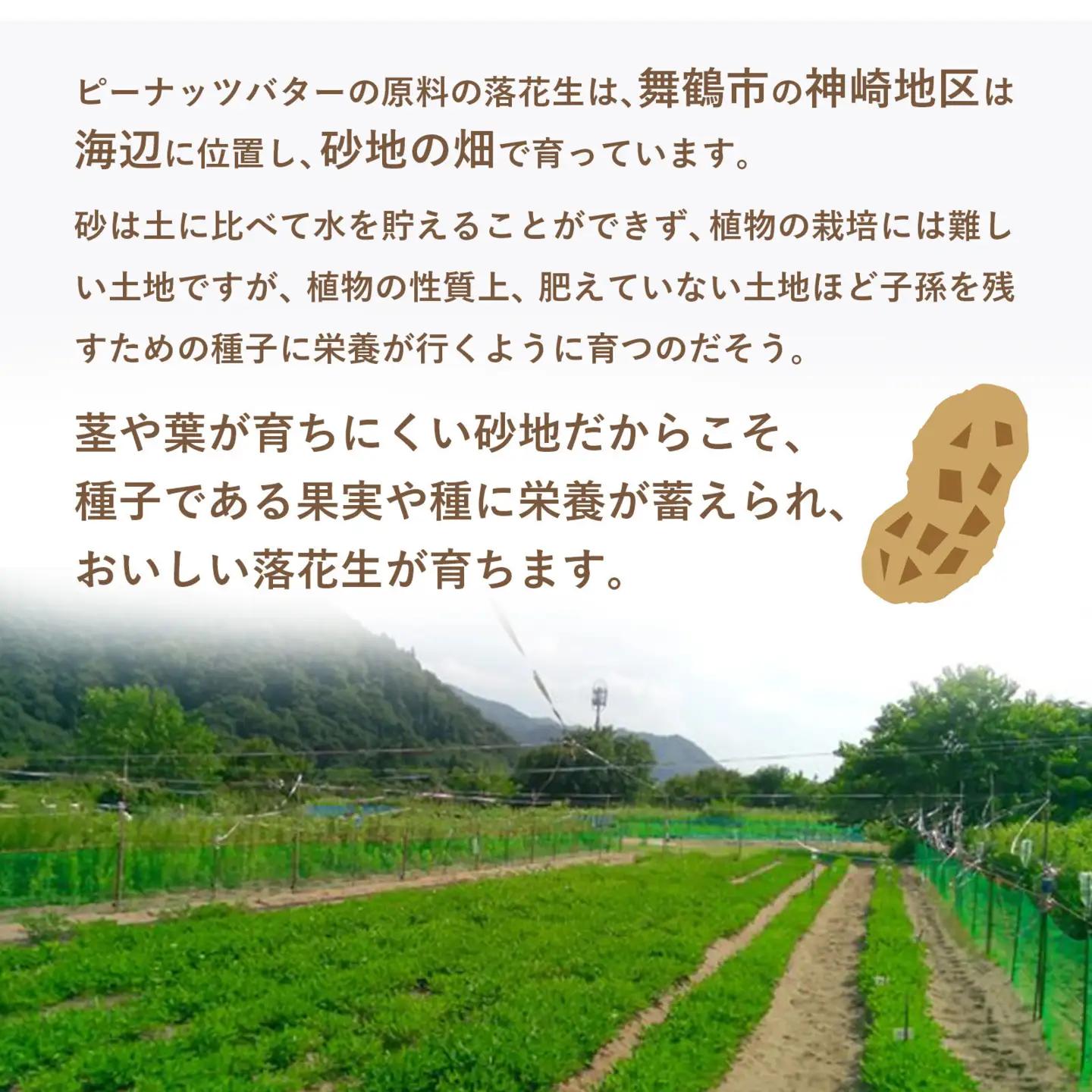 神崎落花生 ピーナッツバター 2個 京都府 京都 ソラアオ
