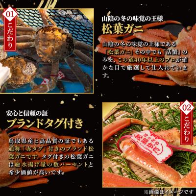 ふるさと納税 境港市 活〆ボイル松葉蟹(大)タグ付(約800g)【11月中旬から順次発送】 |  | 02