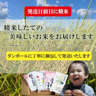 ふるさと納税 盛岡市 無洗米 4種 食べ比べ 銀河のしずく ひとめぼれ あきたこまち ミルキークィーン 各5kg |  | 03