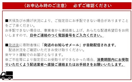 期間限定！土佐沖 一本釣り 日もどり「生」戻りカツオ　藁焼きたたき2～3節［1211］