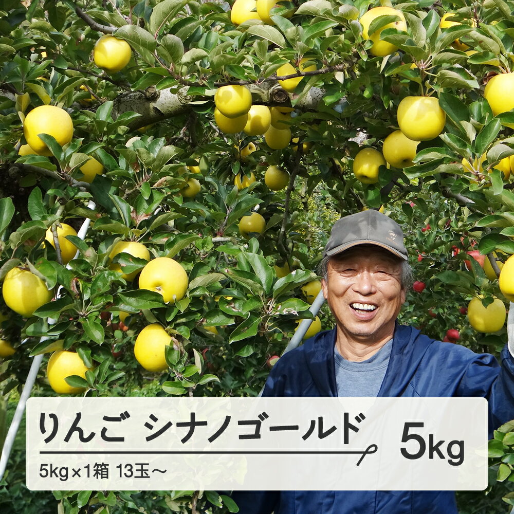 【ふるさと納税】《先行予約》令和7年産 2025年 山形県産 りんご シナノゴールド 約5kg (13~23玉) 果物 送料無料 ※沖縄・離島への配送不可 F20A-727