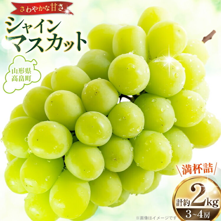 【ふるさと納税】【期間限定発送】 シャインマスカット 3房 2kg [tk06ays820002 山形県 高畠町 本田農園] ぶどう ブドウ 葡萄 マスカット 大粒 粒 つぶ ツブ 種なし 果物 くだもの フルーツ