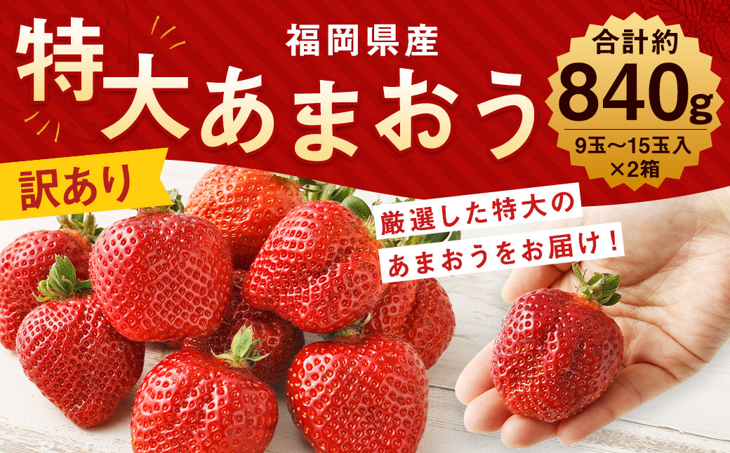 
【訳あり】特大 あまおう 9玉～15玉入×2箱 約840g【2025年1月上旬から3月下旬発送予定】 いちご 果物 フルーツ お取り寄せ苺
