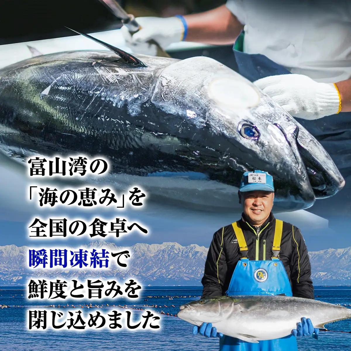 【偶数月 全3回 定期便】氷見漁港 海鮮刺身セット | 詰め合わせ 冷凍 刺身