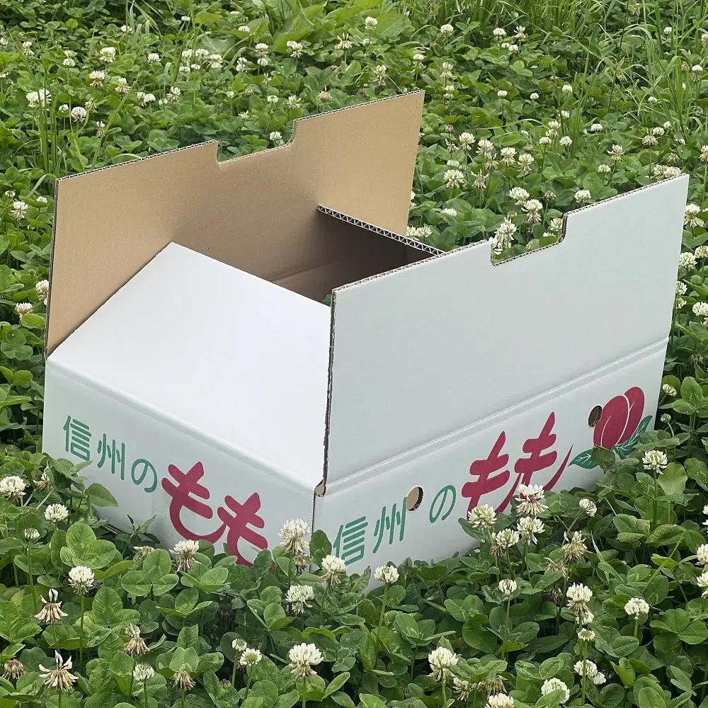 牧野果樹園　長野市産ネクタリン「サマークリスタル」約4kg（18～25個） | 桃 フルーツ 桃