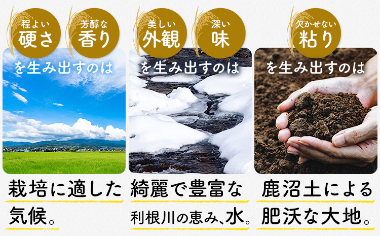 【12ヶ月定期便】米 茨城 ふるさと米 無洗米 5kg《申込月の翌月より出荷開始》茨城県 河内町 米 国産 お米 おこめ お弁当 おにぎり