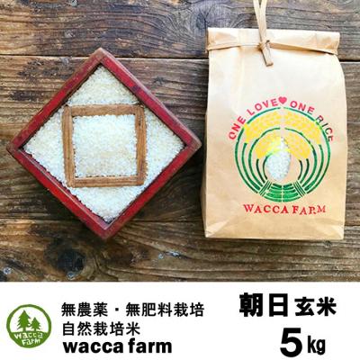 ふるさと納税 瀬戸内市 瀬戸内自然栽培米 令和8年産「朝日」玄米 5kg  [2121052]