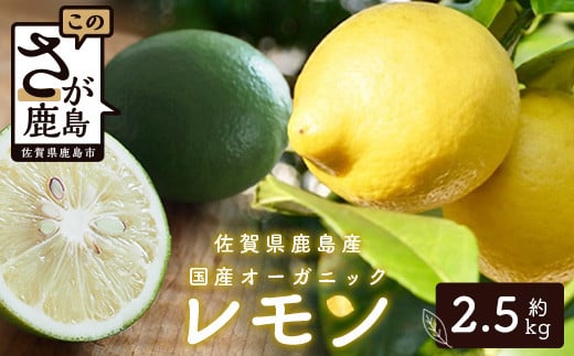 
国産 オーガニックレモン 約2.5kg レモン 檸檬 B-91
