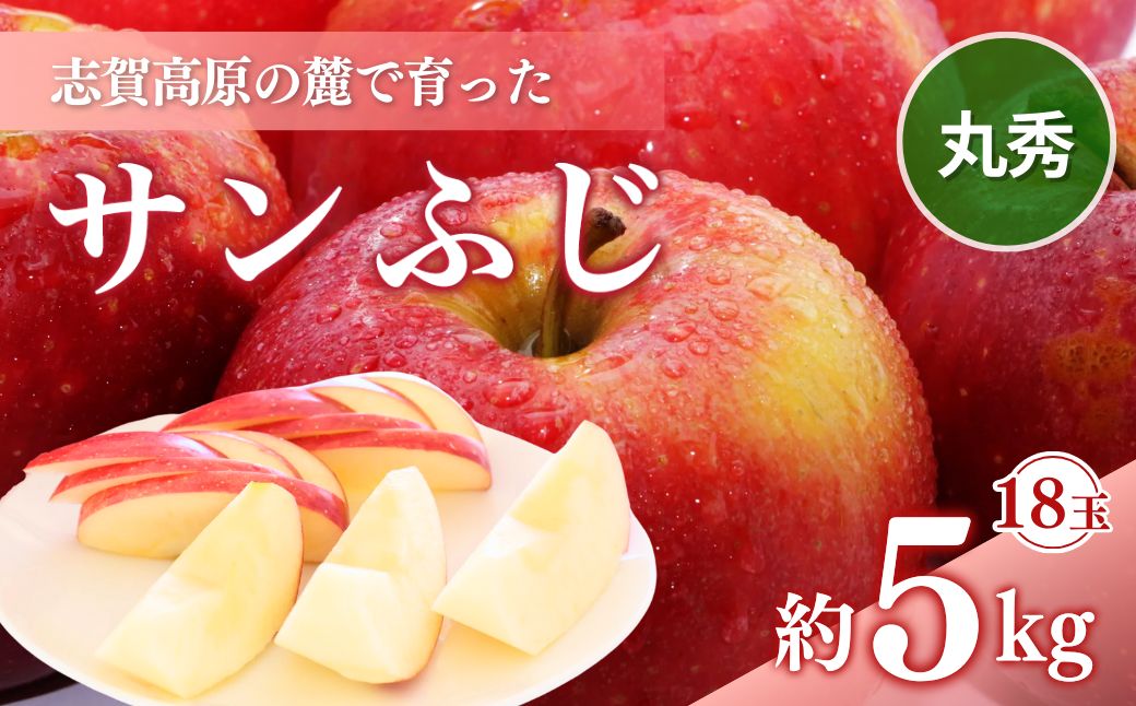 【2026年発送】志賀高原の麓で育った サンふじ 丸秀18玉 約5kg りんご 5kg フルーツ 果物 デザート 長野