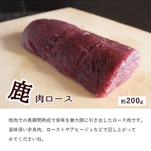 ジビエ 鹿肉 お試しセット 合計1kg ： ロース約200g モモ約300g ミンチ500g 